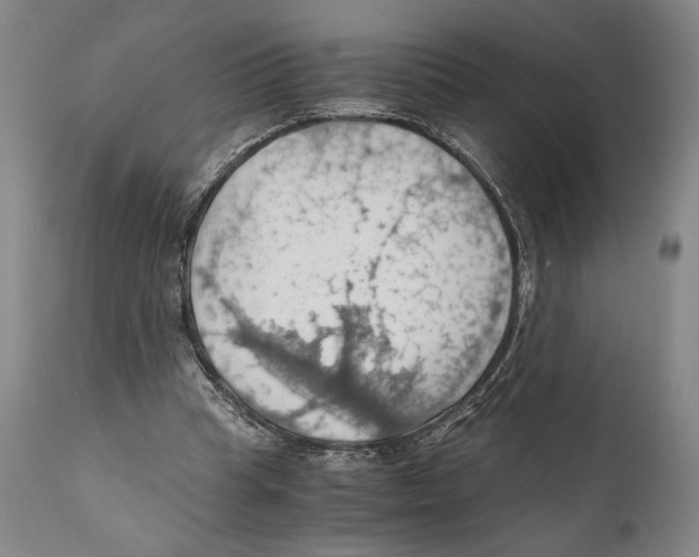 X0000111030345200907231626