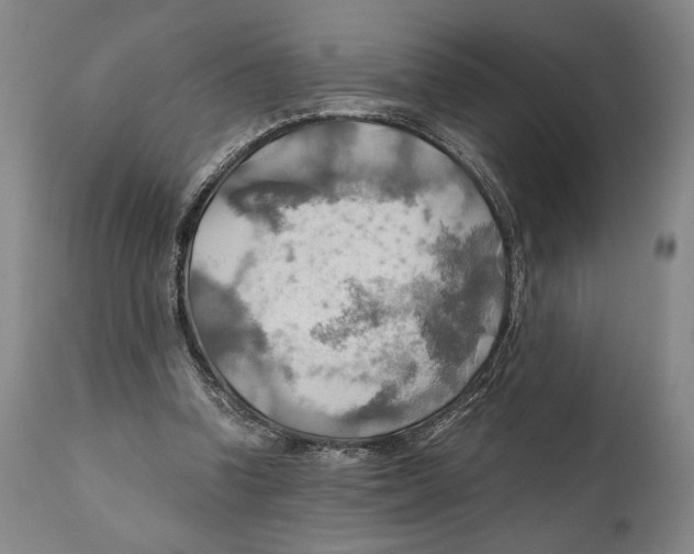 X0000111030346200907231626