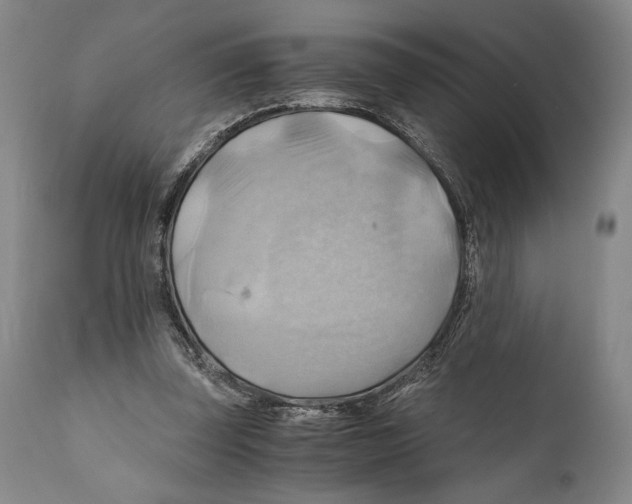 X0000111030347200907231626