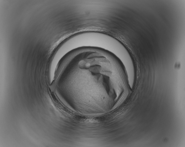 X0000111030348200907231626