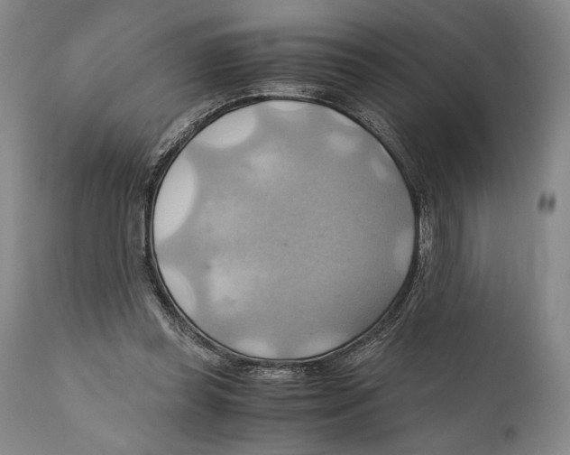 X0000111030349200907231626