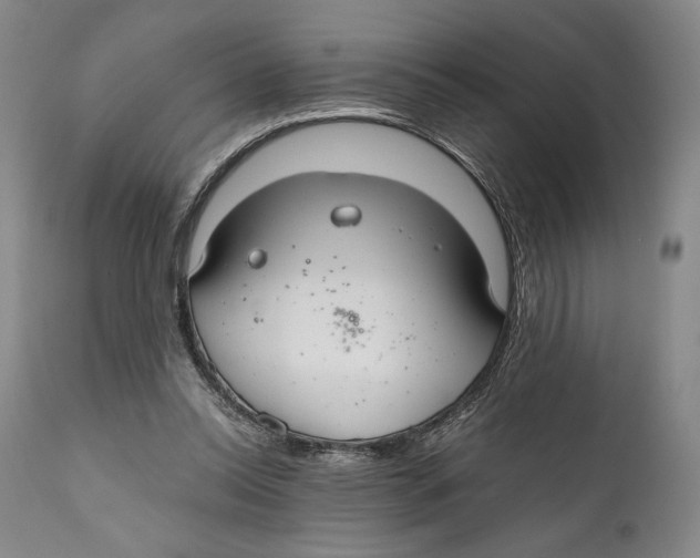 X0000111030350200907231626