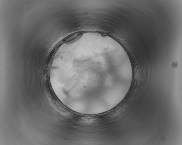 X0000111030351200907231626