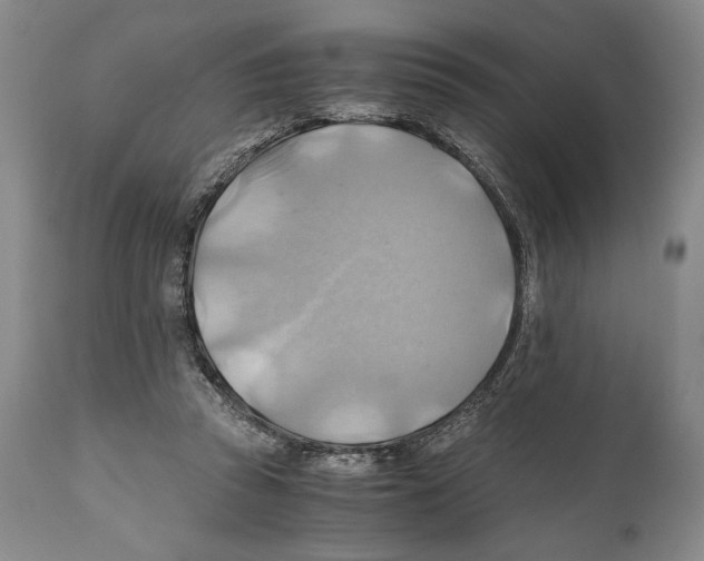 X0000111030353200907231626