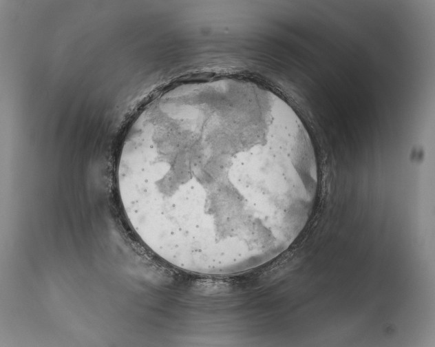 X0000111030354200907231626