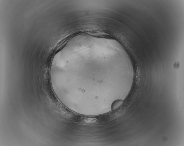 X0000111030355200907231626