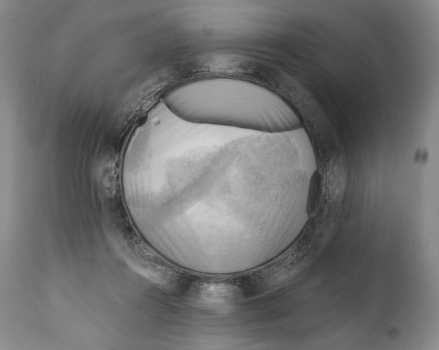 X0000111030360200907231626