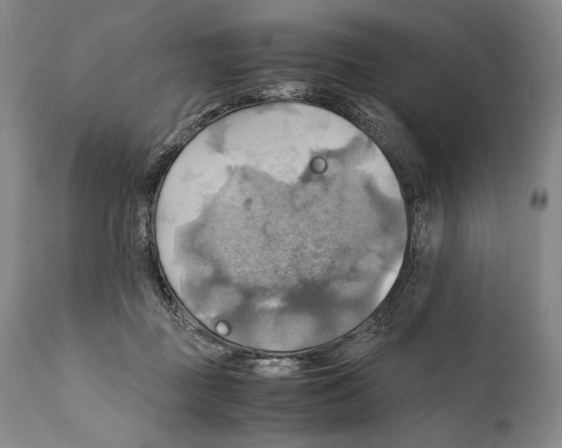 X0000111030363200907231626