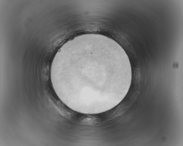 X0000111030364200907231626