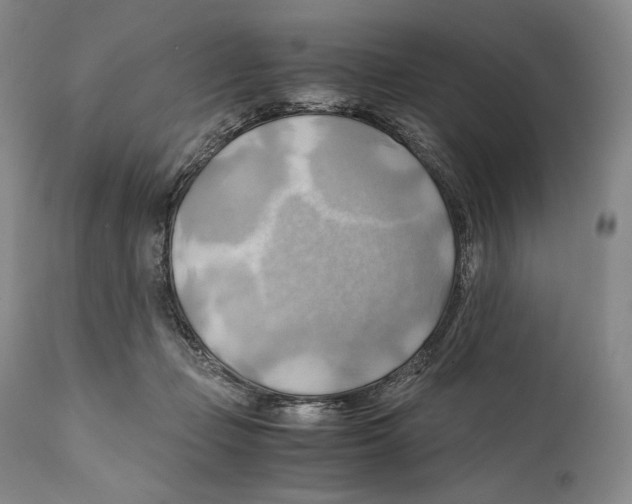 X0000111030365200907231626