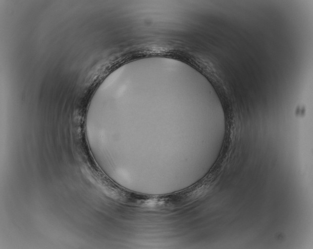 X0000111030366200907231626