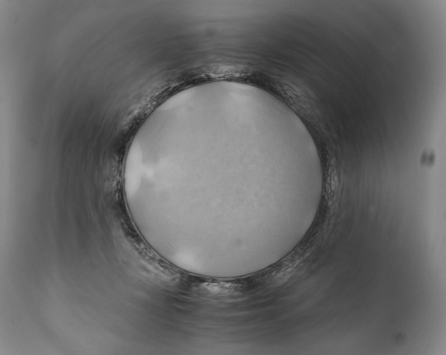 X0000111030367200907231626