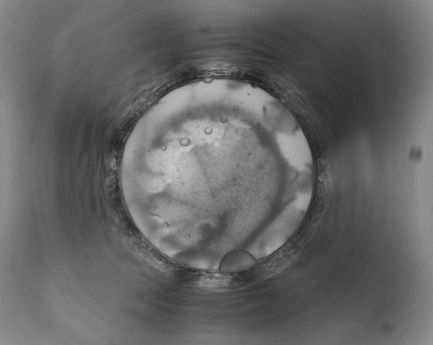 X0000111030369200907231626