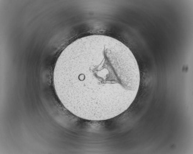 X0000111030370200907231626