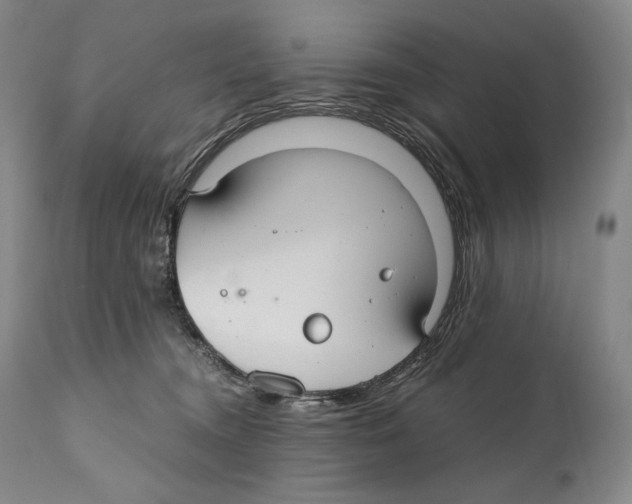 X0000111030372200907231626