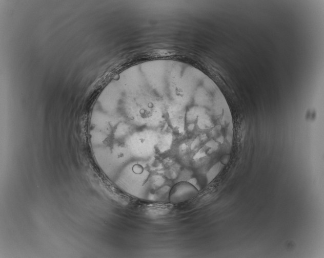 X0000111030373200907231626