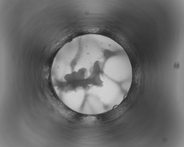 X0000111030374200907231626