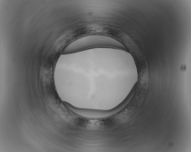 X0000111030376200907231626