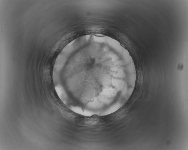 X0000111030377200907231626