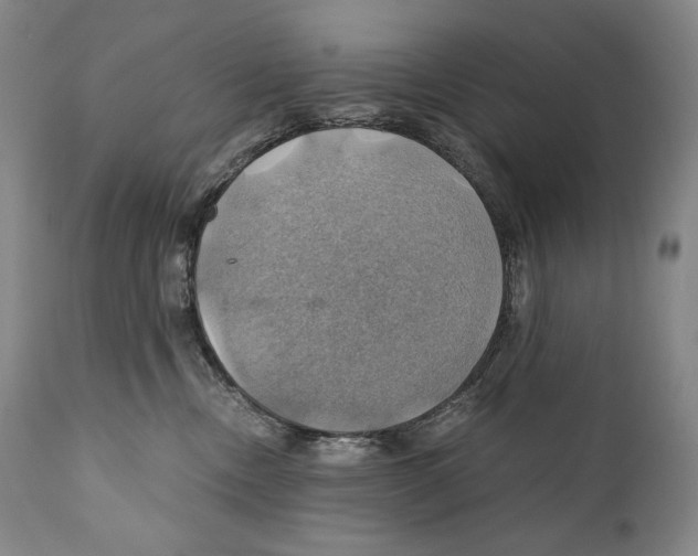 X0000111030378200907231626