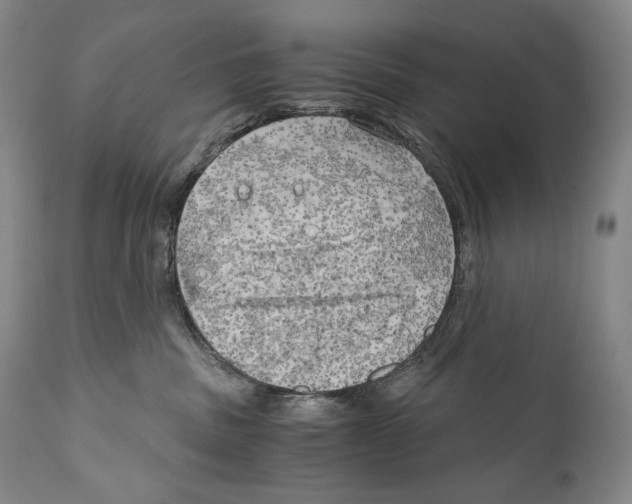 X0000111030379200907231627