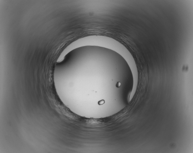 X0000111030380200907231627