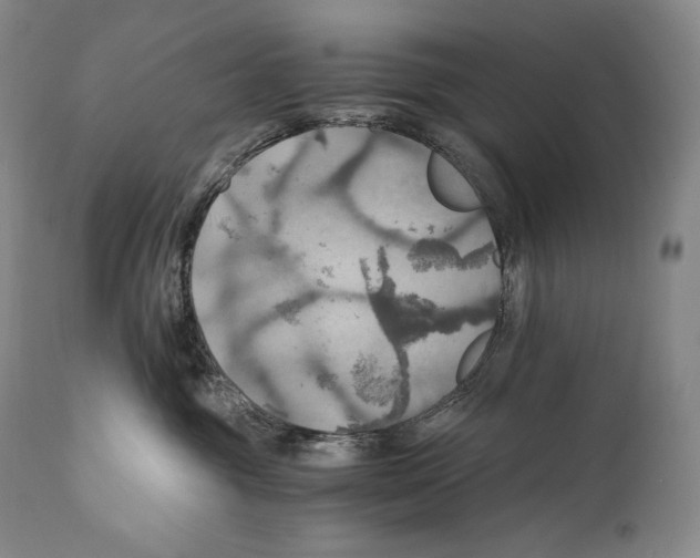 X0000111030381200907231627