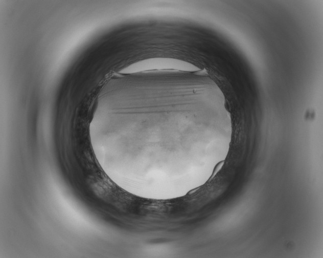 X0000111030383200907231627