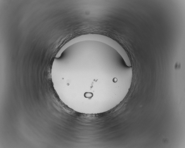 X0000111030384200907231627