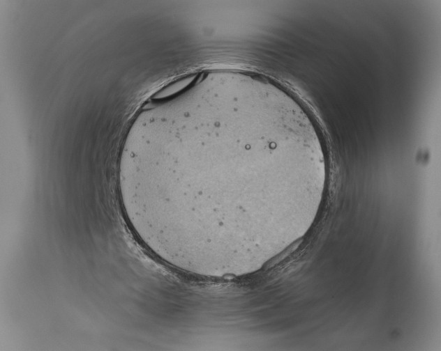 X0000111030385200907231626