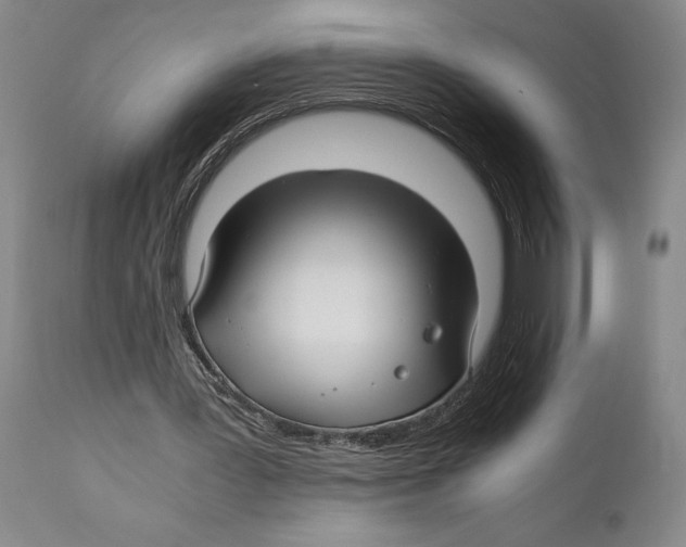 X0000111030387200907231626