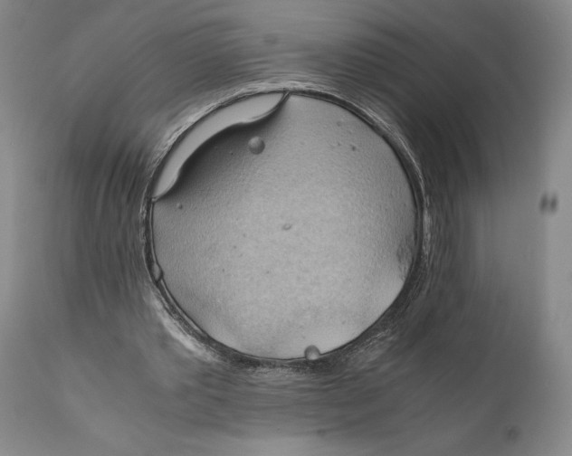 X0000111030389200907231626