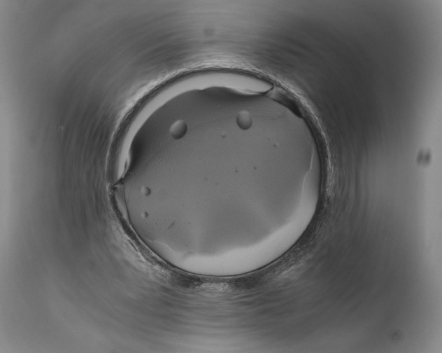 X0000111030391200907231626