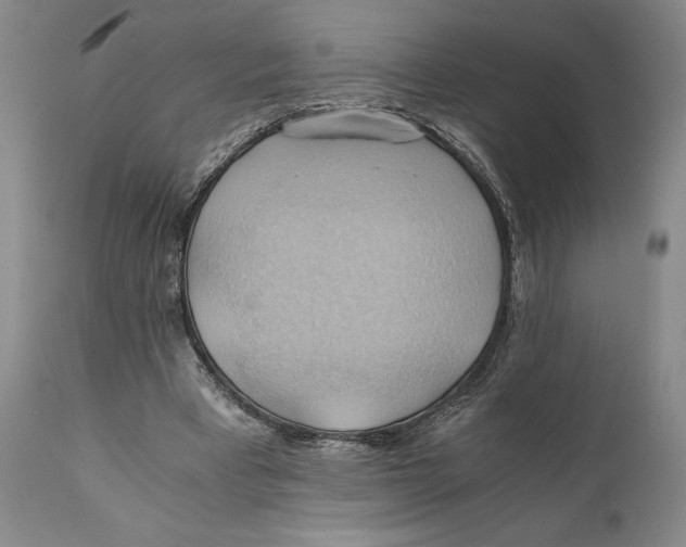 X0000111030393200907231626