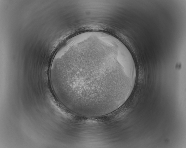 X0000111030394200907231626