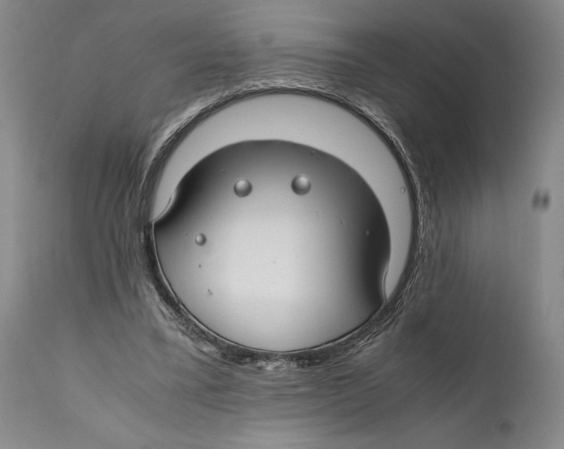 X0000111030395200907231626