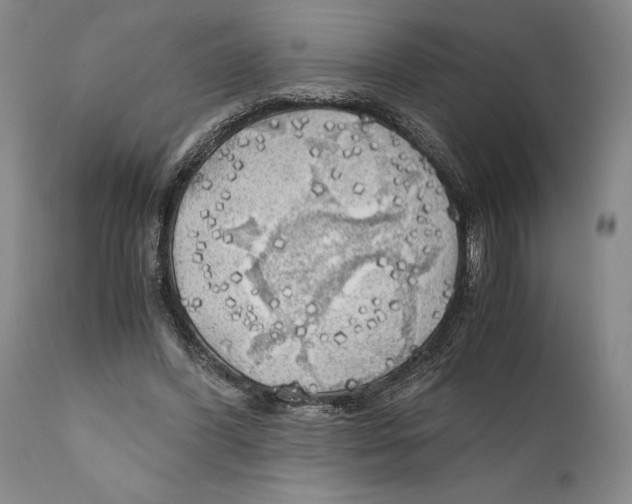 X0000111030396200907231626