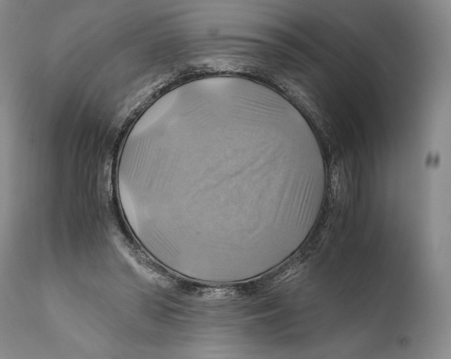 X0000111030398200907231626