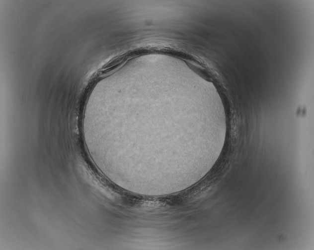 X0000111030399200907231626