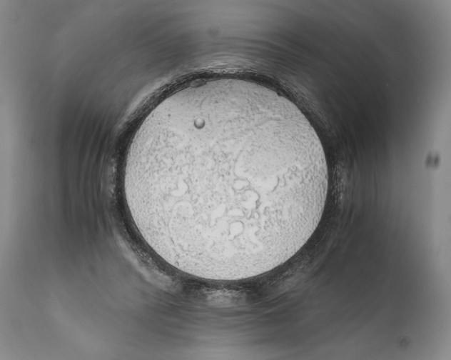 X0000111030400200907231626