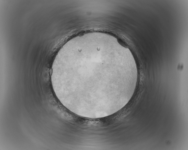 X0000111030401200907231626