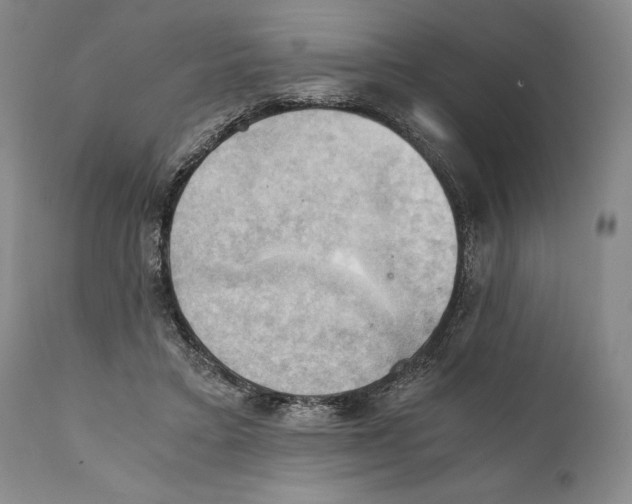 X0000111030403200907231626