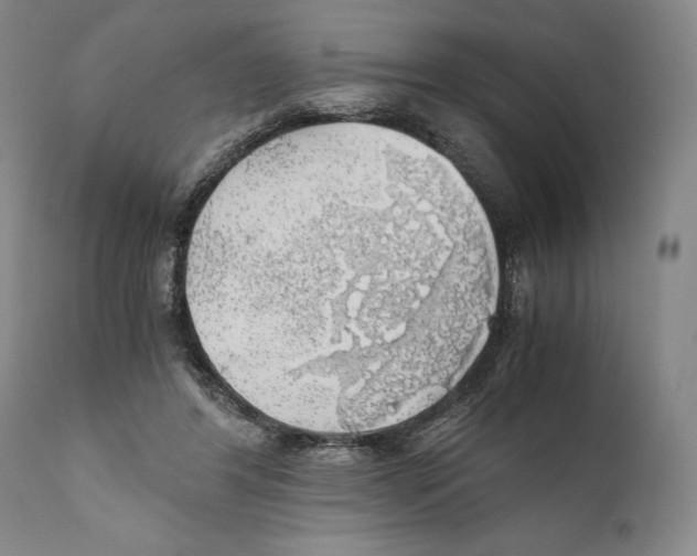 X0000111030404200907231626