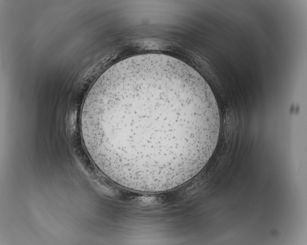 X0000111030406200907231626