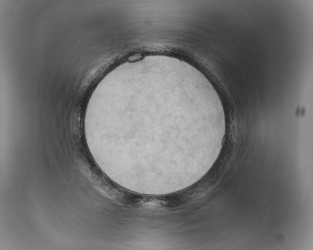 X0000111030407200907231626