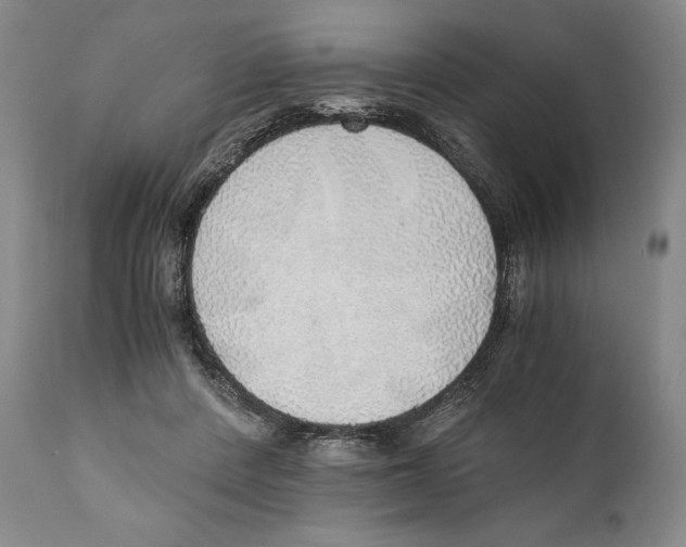 X0000111030408200907231625