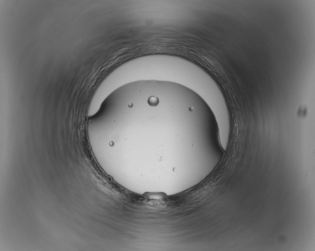 X0000111030409200907231625