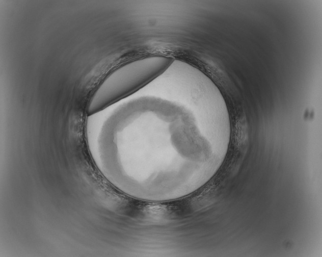 X0000111030413200907231625