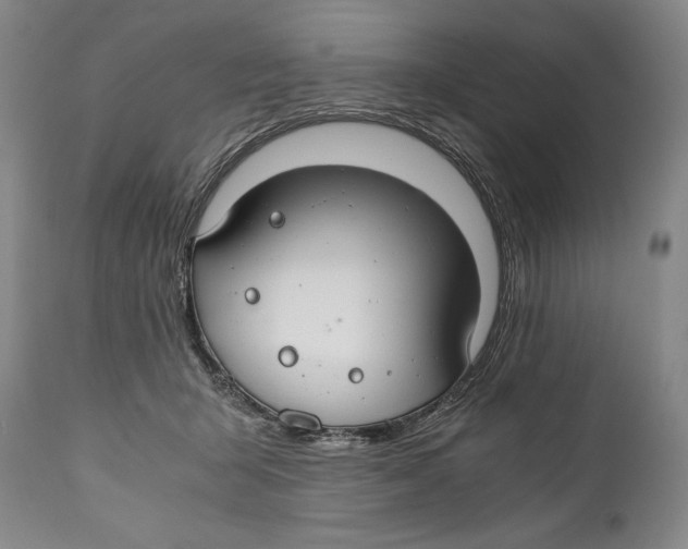 X0000111030415200907231625