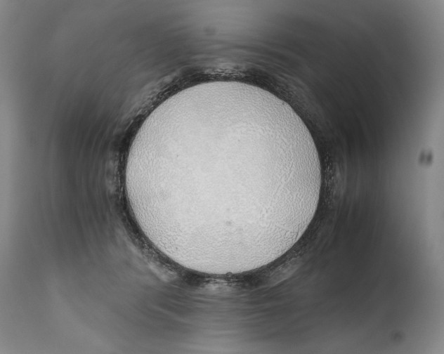 X0000111030416200907231625